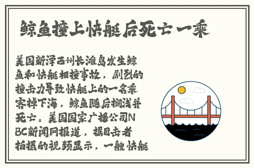 国产69精品久久久久麻豆