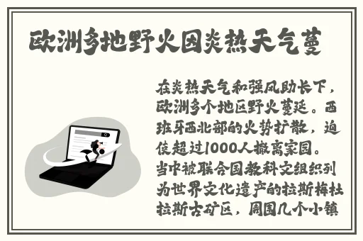 国际b站免费入口