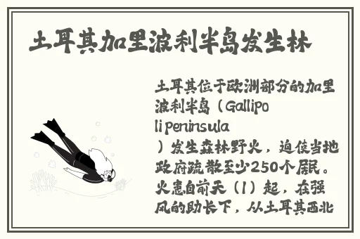 秋葵AVAPP